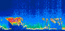 /calipso-imagery/data/BROWSE/production/V5-00/2007-06-06/2007-06-06_23-13-34_V5.00_1_thmb.png image missing