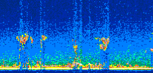 /calipso-imagery/data/BROWSE/production/V5-00/2007-06-07/2007-06-07_00-52-29_V5.00_2_thmb.png image missing