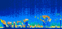 /calipso-imagery/data/BROWSE/production/V5-00/2007-06-07/2007-06-07_02-31-19_V5.00_1_thmb.png image missing
