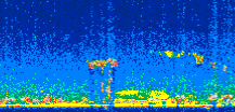 /calipso-imagery/data/BROWSE/production/V5-00/2007-06-07/2007-06-07_15-42-25_V5.00_2_thmb.png image missing