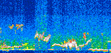 /calipso-imagery/data/BROWSE/production/V5-00/2007-06-07/2007-06-07_19-00-13_V5.00_3_thmb.png image missing