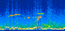 /calipso-imagery/data/BROWSE/production/V5-00/2007-06-07/2007-06-07_20-39-03_V5.00_2_thmb.png image missing