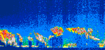 /calipso-imagery/data/BROWSE/production/V5-00/2007-06-07/2007-06-07_22-17-58_V5.00_1_thmb.png image missing