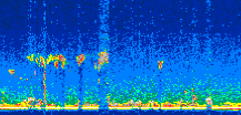 /calipso-imagery/data/BROWSE/production/V5-00/2007-06-07/2007-06-07_23-56-53_V5.00_2_thmb.png image missing