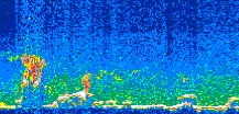 /calipso-imagery/data/BROWSE/production/V5-00/2007-06-07/2007-06-07_23-56-53_V5.00_3_thmb.png image missing