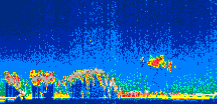 /calipso-imagery/data/BROWSE/production/V5-00/2007-06-08/2007-06-08_01-35-43_V5.00_1_thmb.png image missing