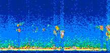 /calipso-imagery/data/BROWSE/production/V5-00/2007-06-08/2007-06-08_01-35-43_V5.00_2_thmb.png image missing