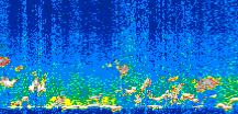 /calipso-imagery/data/BROWSE/production/V5-00/2007-06-08/2007-06-08_03-14-39_V5.00_3_thmb.png image missing