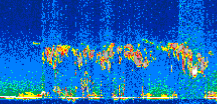 /calipso-imagery/data/BROWSE/production/V5-00/2007-06-08/2007-06-08_04-53-31_V5.00_2_thmb.png image missing