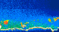 /calipso-imagery/data/BROWSE/production/V5-00/2007-06-08/2007-06-08_04-53-31_V5.00_4_thmb.png image missing