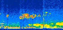 /calipso-imagery/data/BROWSE/production/V5-00/2007-06-08/2007-06-08_09-50-07_V5.00_2_thmb.png image missing