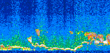 /calipso-imagery/data/BROWSE/production/V5-00/2007-06-08/2007-06-08_14-46-47_V5.00_3_thmb.png image missing