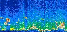 /calipso-imagery/data/BROWSE/production/V5-00/2007-06-08/2007-06-08_16-25-42_V5.00_3_thmb.png image missing