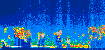 /calipso-imagery/data/BROWSE/production/V5-00/2007-06-18/2007-06-18_00-33-56_V5.00_1_thmb.png image missing