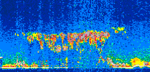/calipso-imagery/data/BROWSE/production/V5-00/2007-06-18/2007-06-18_08-48-22_V5.00_2_thmb.png image missing