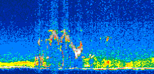 /calipso-imagery/data/BROWSE/production/V5-00/2007-06-18/2007-06-18_12-06-08_V5.00_2_thmb.png image missing