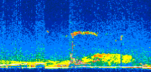 /calipso-imagery/data/BROWSE/production/V5-00/2007-06-18/2007-06-18_13-45-03_V5.00_2_thmb.png image missing