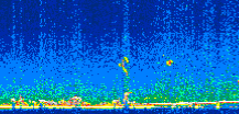 /calipso-imagery/data/BROWSE/production/V5-00/2007-06-18/2007-06-18_21-59-29_V5.00_2_thmb.png image missing