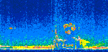 /calipso-imagery/data/BROWSE/production/V5-00/2007-06-23/2007-06-23_14-03-28_V5.00_2_thmb.png image missing