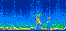 /calipso-imagery/data/BROWSE/production/V5-00/2007-06-23/2007-06-23_20-39-04_V5.00_2_thmb.png image missing