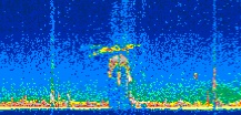 /calipso-imagery/data/BROWSE/production/V5-00/2007-06-23/2007-06-23_23-56-50_V5.00_2_thmb.png image missing