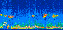 /calipso-imagery/data/BROWSE/production/V5-00/2007-06-29/2007-06-29_00-15-10_V5.00_2_thmb.png image missing