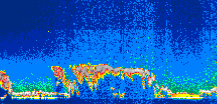 /calipso-imagery/data/BROWSE/production/V5-00/2007-06-29/2007-06-29_06-50-46_V5.00_1_thmb.png image missing