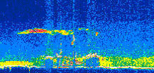 /calipso-imagery/data/BROWSE/production/V5-00/2007-06-29/2007-06-29_11-47-22_V5.00_2_thmb.png image missing