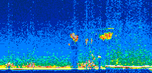 /calipso-imagery/data/BROWSE/production/V5-00/2007-06-29/2007-06-29_21-40-38_V5.00_2_thmb.png image missing