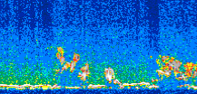 /calipso-imagery/data/BROWSE/production/V5-00/2007-07-01/2007-07-01_00-02-46_V5.00_3_thmb.png image missing