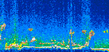 /calipso-imagery/data/BROWSE/production/V5-00/2007-07-01/2007-07-01_04-59-27_V5.00_3_thmb.png image missing