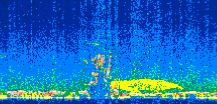 /calipso-imagery/data/BROWSE/production/V5-00/2007-07-01/2007-07-01_14-52-43_V5.00_2_thmb.png image missing