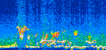 /calipso-imagery/data/BROWSE/production/V5-00/2007-07-01/2007-07-01_16-31-33_V5.00_3_thmb.png image missing