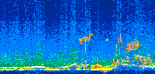 /calipso-imagery/data/BROWSE/production/V5-00/2007-07-01/2007-07-01_19-49-19_V5.00_2_thmb.png image missing