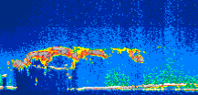 /calipso-imagery/data/BROWSE/production/V5-00/2007-07-01/2007-07-01_21-28-14_V5.00_1_thmb.png image missing