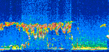 /calipso-imagery/data/BROWSE/production/V5-00/2007-07-04/2007-07-04_03-51-21_V5.00_2_thmb.png image missing