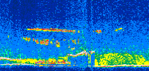 /calipso-imagery/data/BROWSE/production/V5-00/2007-07-04/2007-07-04_12-05-42_V5.00_2_thmb.png image missing
