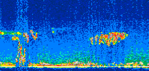 /calipso-imagery/data/BROWSE/production/V5-00/2007-07-04/2007-07-04_23-37-53_V5.00_2_thmb.png image missing