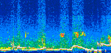 /calipso-imagery/data/BROWSE/production/V5-00/2007-07-06/2007-07-06_15-11-04_V5.00_3_thmb.png image missing