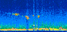 /calipso-imagery/data/BROWSE/production/V5-00/2007-07-06/2007-07-06_23-25-25_V5.00_2_thmb.png image missing