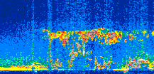 /calipso-imagery/data/BROWSE/production/V5-00/2007-07-07/2007-07-07_06-00-56_V5.00_2_thmb.png image missing