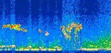 /calipso-imagery/data/BROWSE/production/V5-00/2007-07-07/2007-07-07_20-50-52_V5.00_2_thmb.png image missing