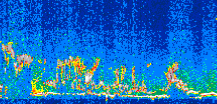 /calipso-imagery/data/BROWSE/production/V5-00/2007-07-08/2007-07-08_05-05-18_V5.00_3_thmb.png image missing