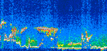 /calipso-imagery/data/BROWSE/production/V5-00/2007-07-08/2007-07-08_06-44-09_V5.00_3_thmb.png image missing