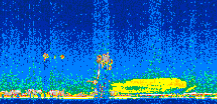 /calipso-imagery/data/BROWSE/production/V5-00/2007-07-08/2007-07-08_14-58-35_V5.00_2_thmb.png image missing