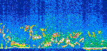 /calipso-imagery/data/BROWSE/production/V5-00/2007-07-08/2007-07-08_18-16-20_V5.00_3_thmb.png image missing