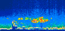 /calipso-imagery/data/BROWSE/production/V5-00/2007-07-08/2007-07-08_19-55-15_V5.00_1_thmb.png image missing