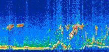/calipso-imagery/data/BROWSE/production/V5-00/2007-07-08/2007-07-08_19-55-15_V5.00_2_thmb.png image missing
