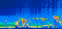 /calipso-imagery/data/BROWSE/production/V5-00/2007-07-08/2007-07-08_23-13-01_V5.00_1_thmb.png image missing