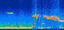 /calipso-imagery/data/BROWSE/production/V5-00/2007-07-18/2007-07-18_00-45-14_V5.00_2_thmb.png image missing